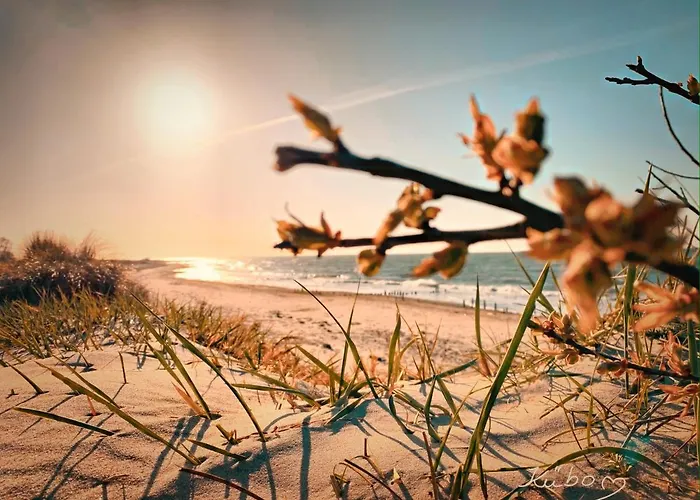 Ferienwohnungen im Strandhus